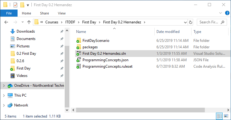 0.2 First Day 1 Snip RenameSln